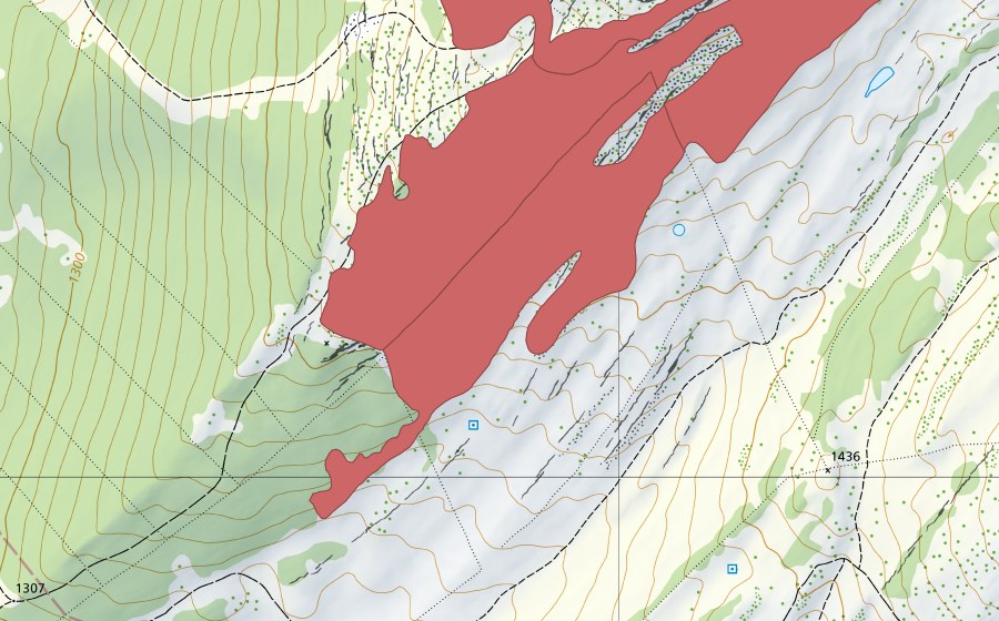 Landeskarte swisstopo mit dem Schutzperimeter von L'Arzière (Trockenwiese)