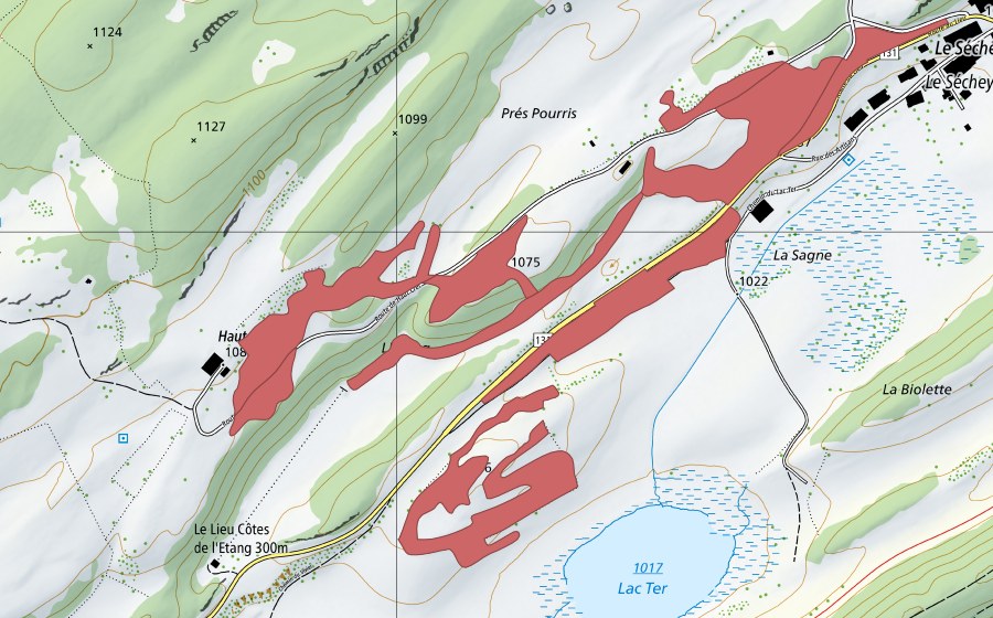 Landeskarte swisstopo mit dem Schutzperimeter von L'Etang (Trockenwiese)