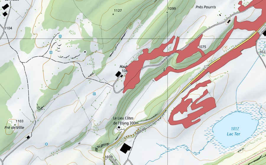 Landeskarte swisstopo mit dem Schutzperimeter von L'Etang (Trockenwiese)