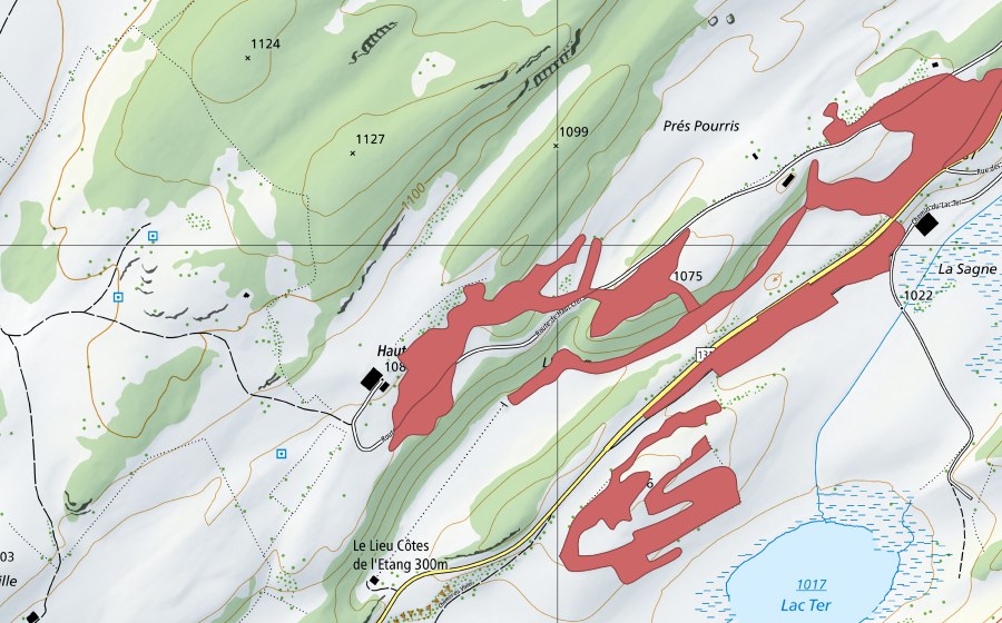 Landeskarte swisstopo mit dem Schutzperimeter von L'Etang (Trockenwiese)