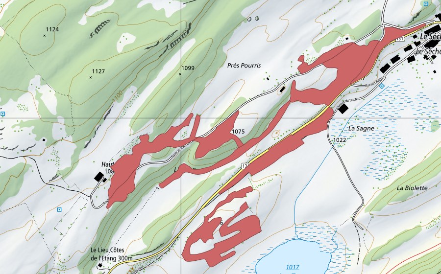 Landeskarte swisstopo mit dem Schutzperimeter von L'Etang (Trockenwiese)