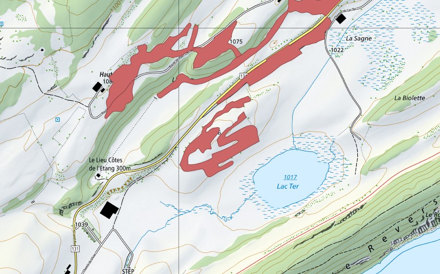 Carta nazionale swisstopo con il perimetro protetto di L'Etang (Prato secco)