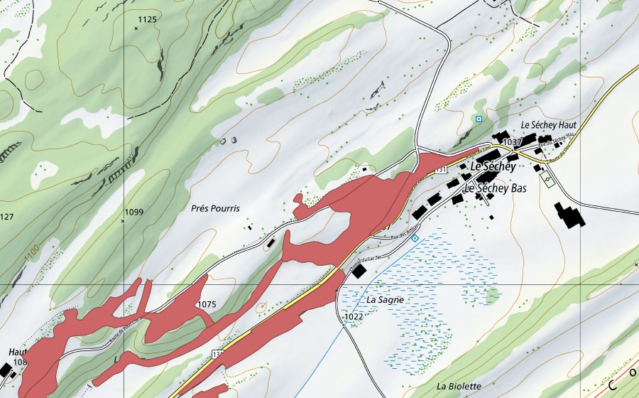 Landeskarte swisstopo mit dem Schutzperimeter von L'Etang (Trockenwiese)