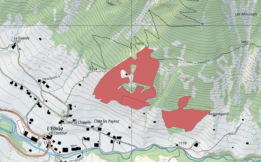 Landeskarte swisstopo mit dem Schutzperimeter von L'Etivaz (Trockenwiese)