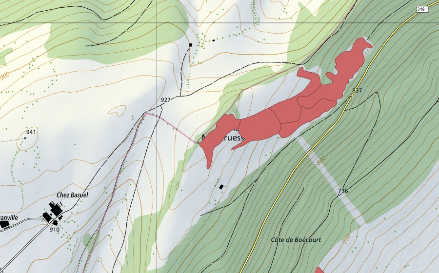 Landeskarte swisstopo mit dem Schutzperimeter von L'Ordon (Trockenwiese)
