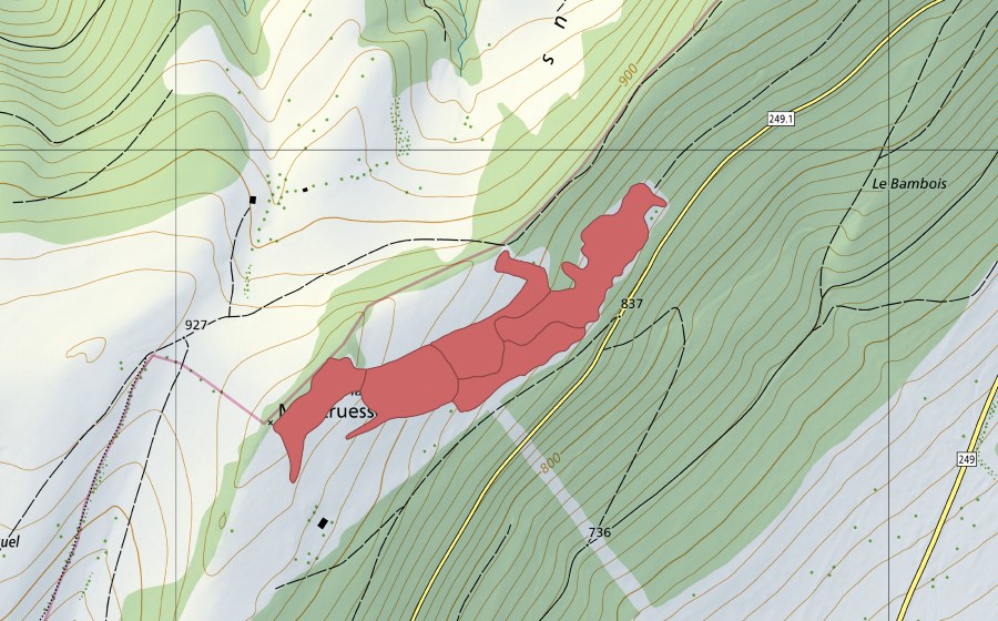 Landeskarte swisstopo mit dem Schutzperimeter von L'Ordon (Trockenwiese)