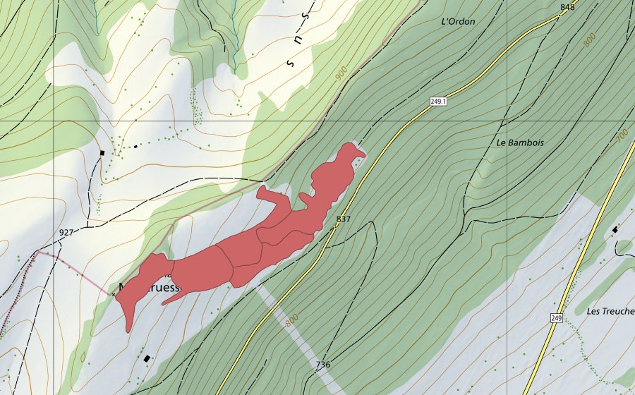 swisstopo national map showing the protected perimeter of L'Ordon (Dry meadow)