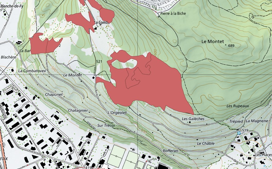 Landeskarte swisstopo mit dem Schutzperimeter von L'Orgeolet (Trockenwiese)