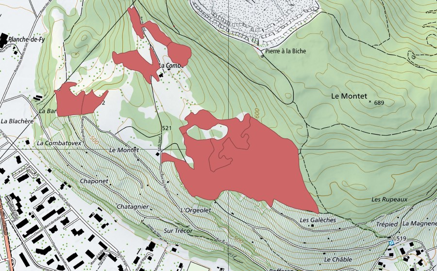 swisstopo national map showing the protected perimeter of L'Orgeolet (Dry meadow)