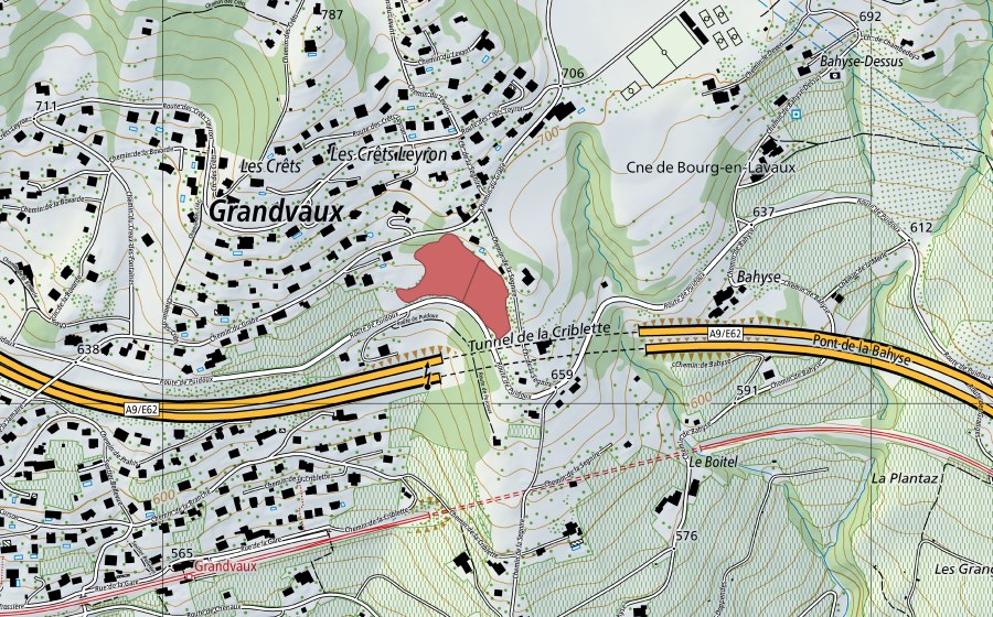 swisstopo national map showing the protected perimeter of La Bahyse (Dry meadow)