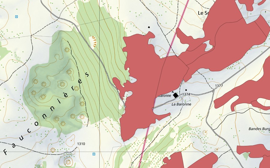 swisstopo national map showing the protected perimeter of La Baronne (Dry meadow)