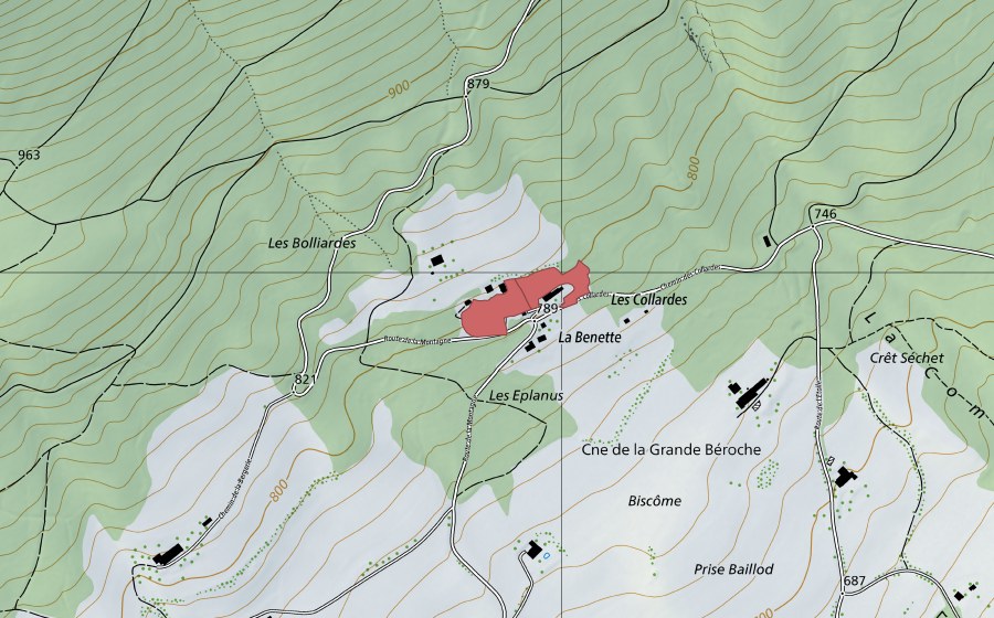 Landeskarte swisstopo mit dem Schutzperimeter von La Benette (Trockenwiese)