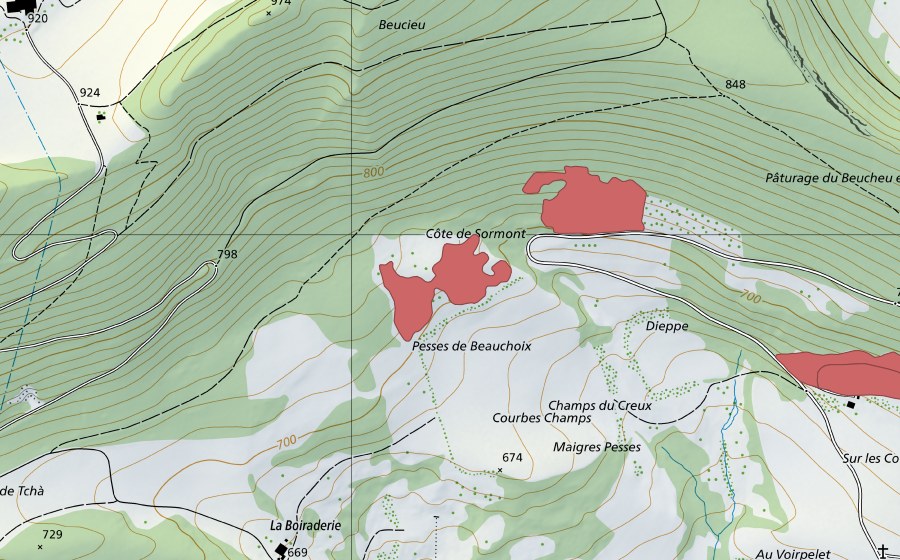Carte nationale swisstopo avec le périmètre protégé de La Boiraderie (Prairie sèche)