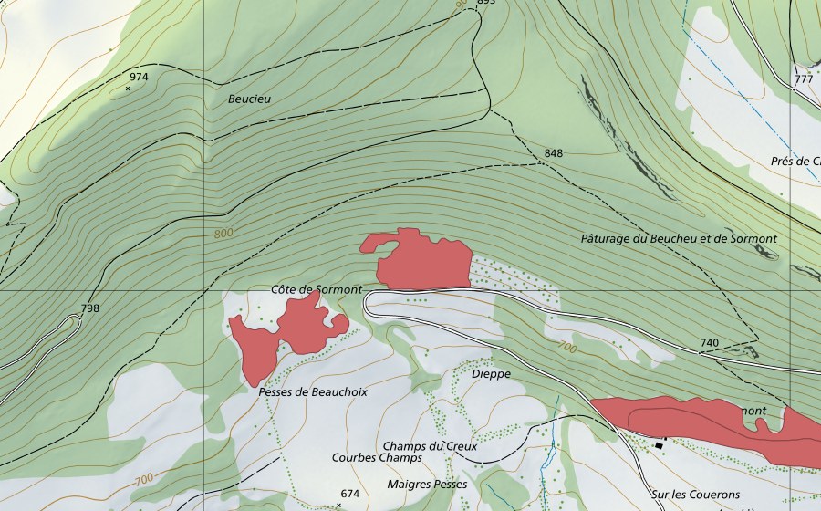 Landeskarte swisstopo mit dem Schutzperimeter von La Boiraderie (Trockenwiese)