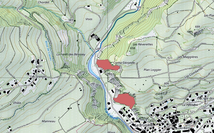 Landeskarte swisstopo mit dem Schutzperimeter von La Brunière (Trockenwiese)