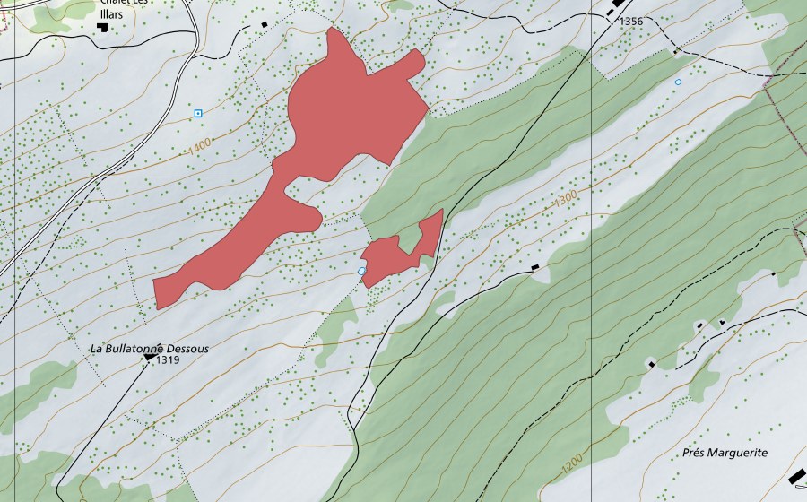 swisstopo national map showing the protected perimeter of La Bullatonne Dessous (Dry meadow)