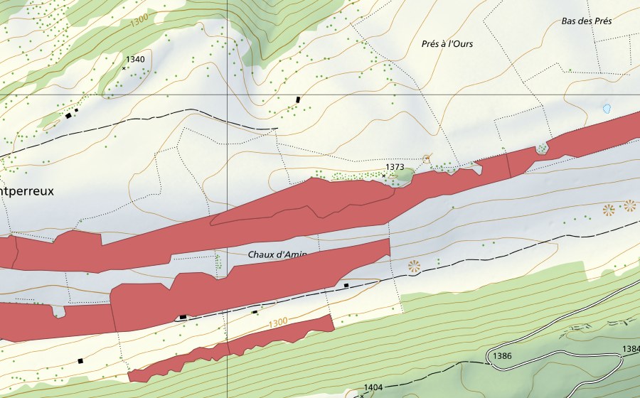 swisstopo national map showing the protected perimeter of La Chaux d'Amin (Dry meadow)