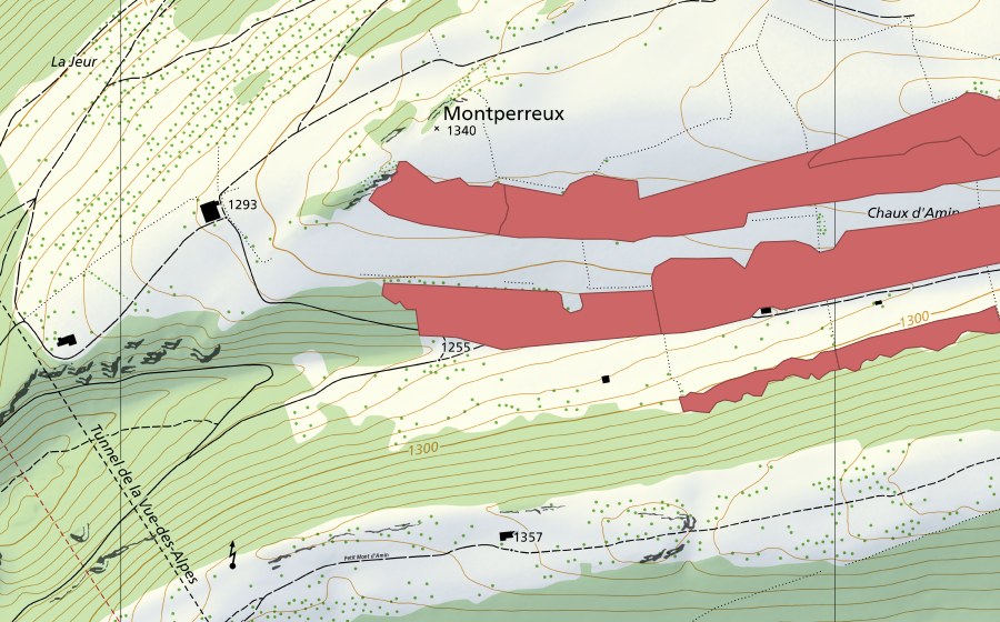 Landeskarte swisstopo mit dem Schutzperimeter von La Chaux d'Amin (Trockenwiese)