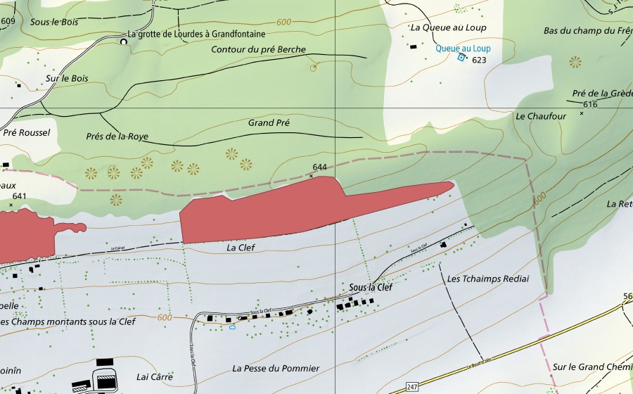 Landeskarte swisstopo mit dem Schutzperimeter von La Clef (Trockenwiese)