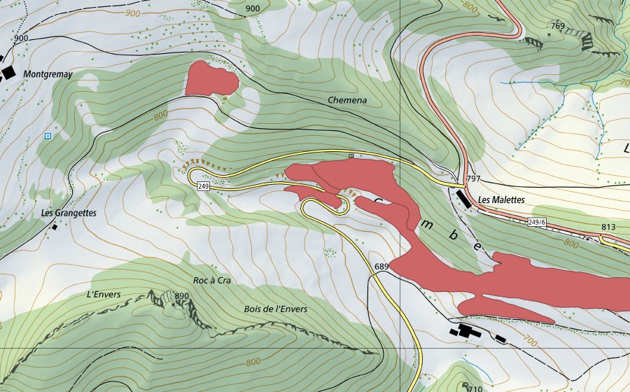 Carta nazionale swisstopo con il perimetro protetto di La Combe (Prato secco)