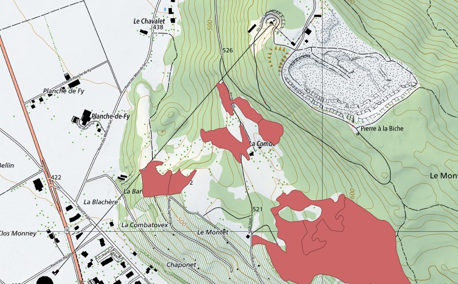swisstopo national map showing the protected perimeter of La Combe (Dry meadow)