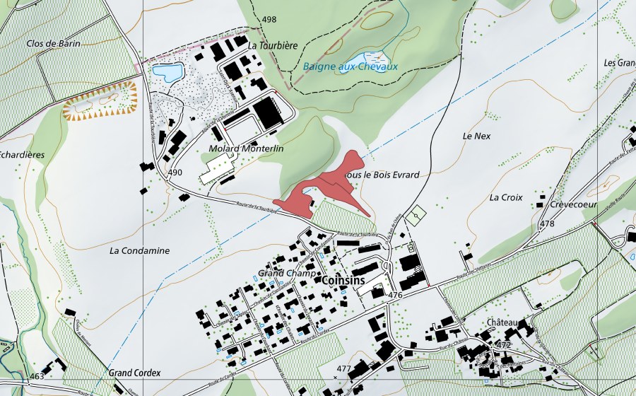 Landeskarte swisstopo mit dem Schutzperimeter von La Condemine (Trockenwiese)