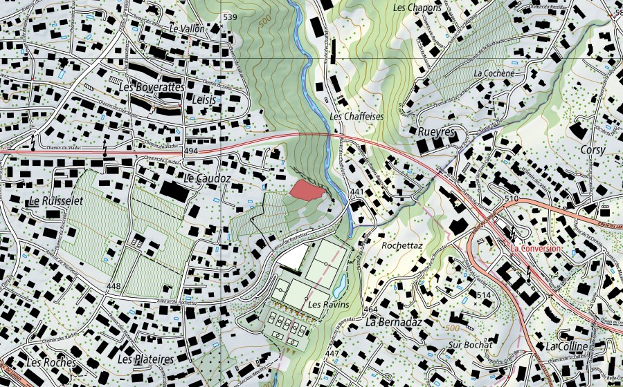 Landeskarte swisstopo mit dem Schutzperimeter von La Conversion (Trockenwiese)