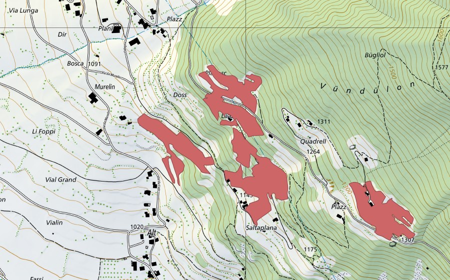 Landeskarte swisstopo mit dem Schutzperimeter von La Crota (Trockenwiese)