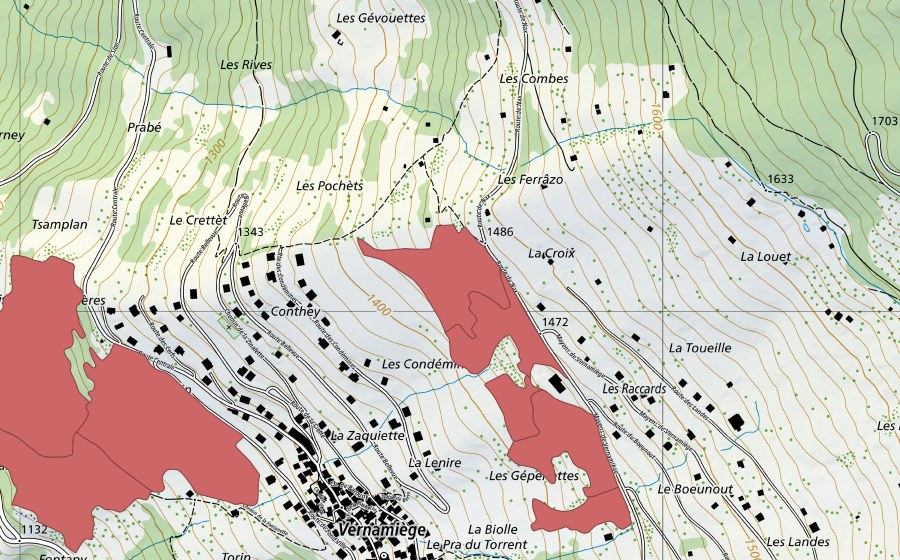 Landeskarte swisstopo mit dem Schutzperimeter von La Daille (Trockenwiese)