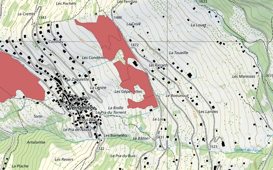 swisstopo national map showing the protected perimeter of La Daille (Dry meadow)