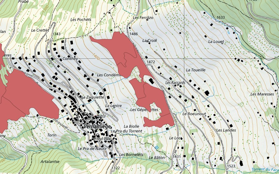 swisstopo national map showing the protected perimeter of La Daille (Dry meadow)
