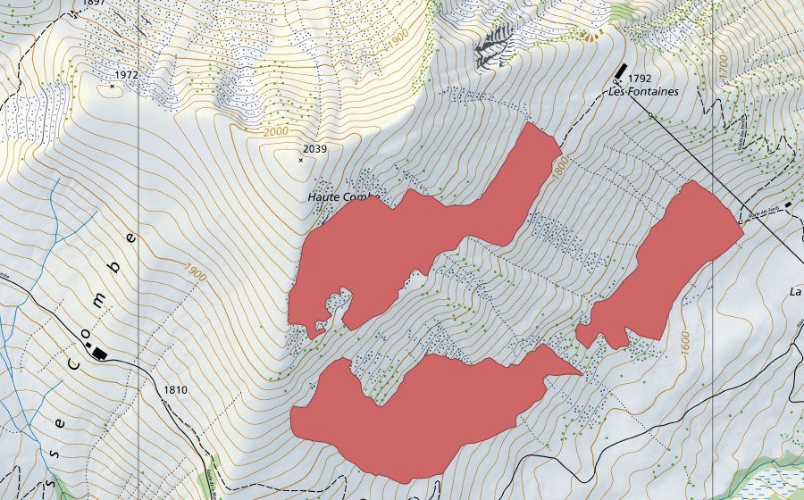 swisstopo national map showing the protected perimeter of La Forcla (Dry meadow)