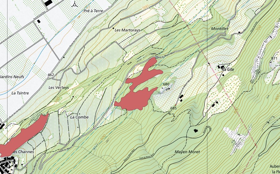 Landeskarte swisstopo mit dem Schutzperimeter von La Gîte (Trockenwiese)