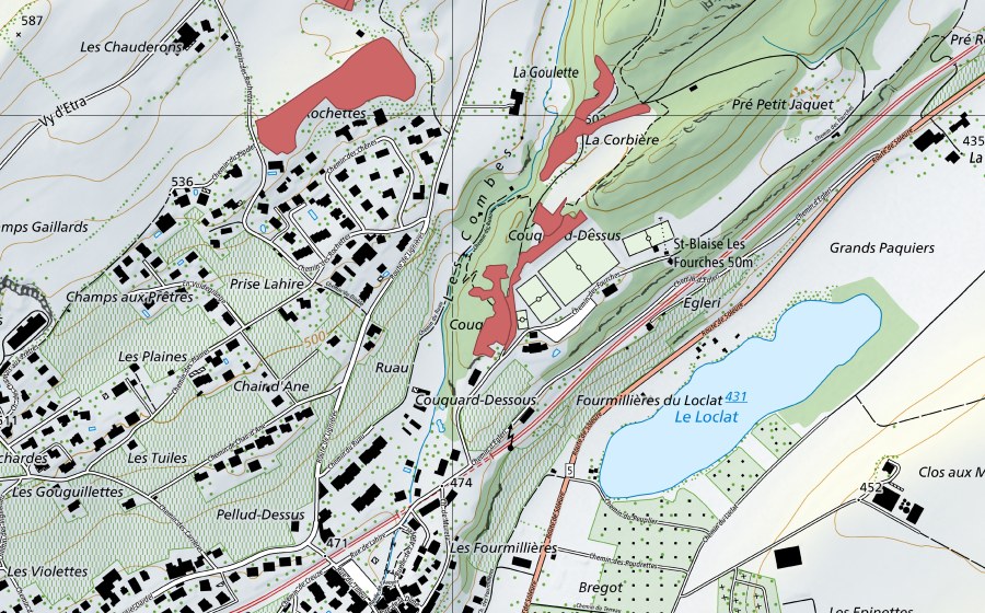 swisstopo national map showing the protected perimeter of La Goulette (Dry meadow)