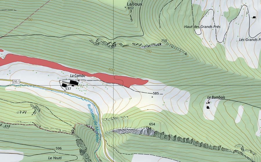 Landeskarte swisstopo mit dem Schutzperimeter von La Joux (Trockenwiese)