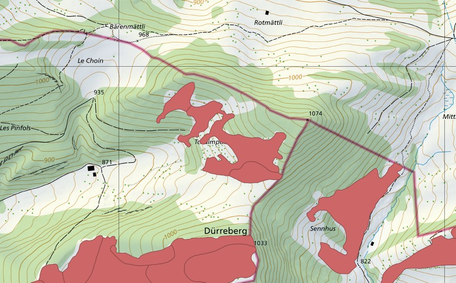 Landeskarte swisstopo mit dem Schutzperimeter von La Neuve Vie (Trockenwiese)