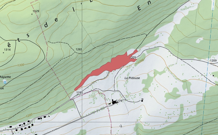Carte nationale swisstopo avec le périmètre protégé de La Pidouse (Prairie sèche)