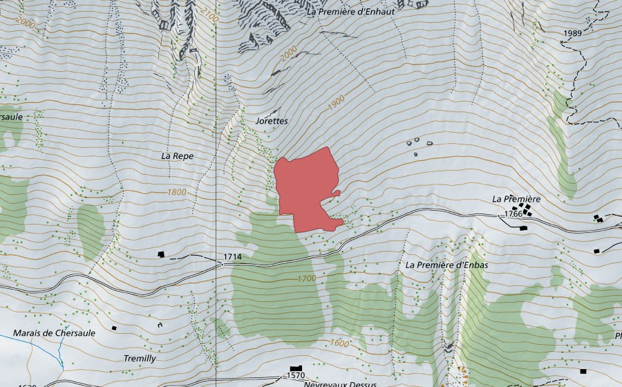 swisstopo national map showing the protected perimeter of La Première (Dry meadow)