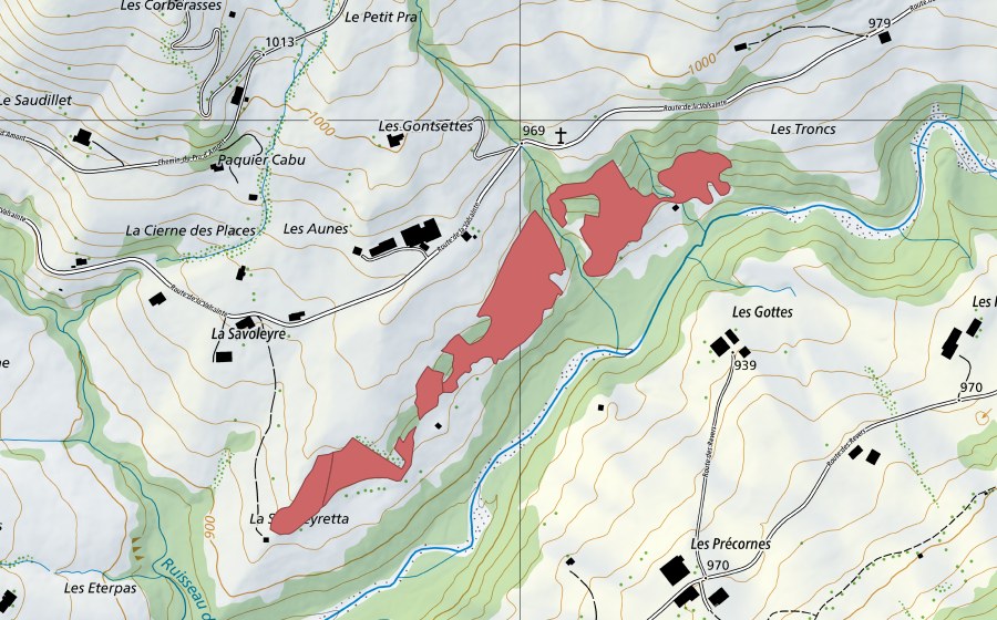 Carte nationale swisstopo avec le périmètre protégé de La Savoleire (Prairie sèche)