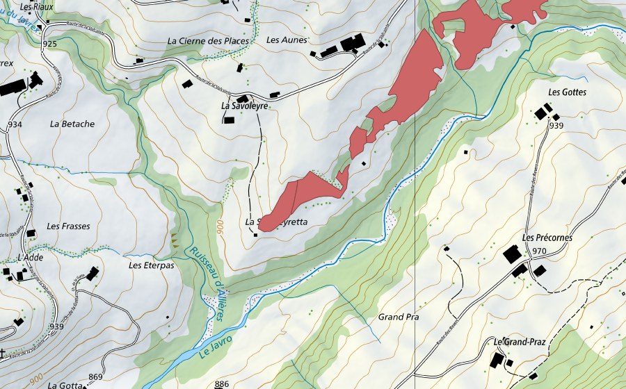 Carte nationale swisstopo avec le périmètre protégé de La Savoleire (Prairie sèche)