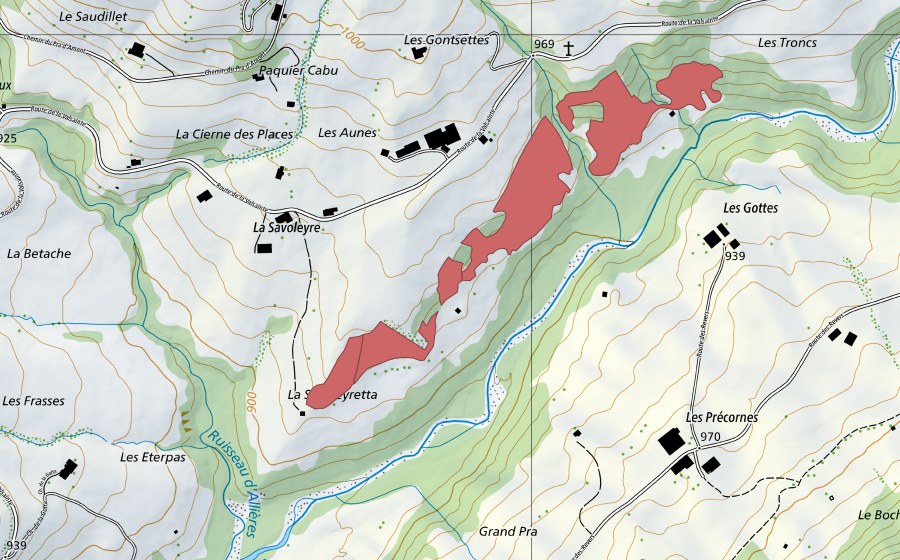 Landeskarte swisstopo mit dem Schutzperimeter von La Savoleire (Trockenwiese)