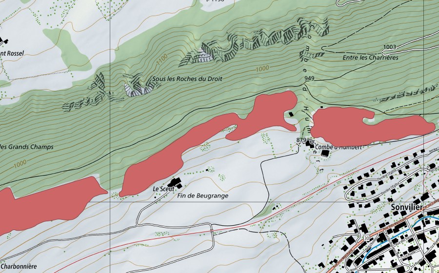 swisstopo national map showing the protected perimeter of La Sceut (Dry meadow)