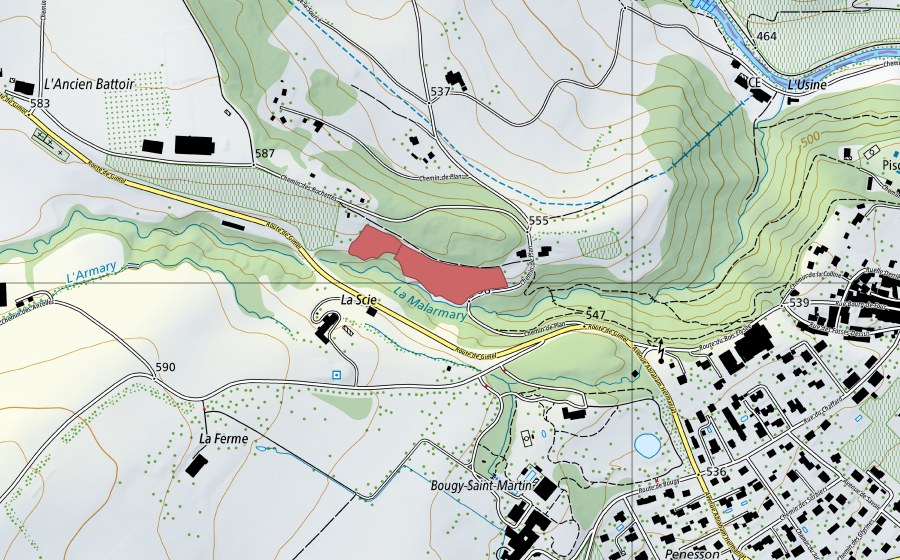 swisstopo national map showing the protected perimeter of La Scie (Dry meadow)