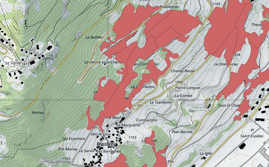 Carta nazionale swisstopo con il perimetro protetto di La Theuse (Prato secco)