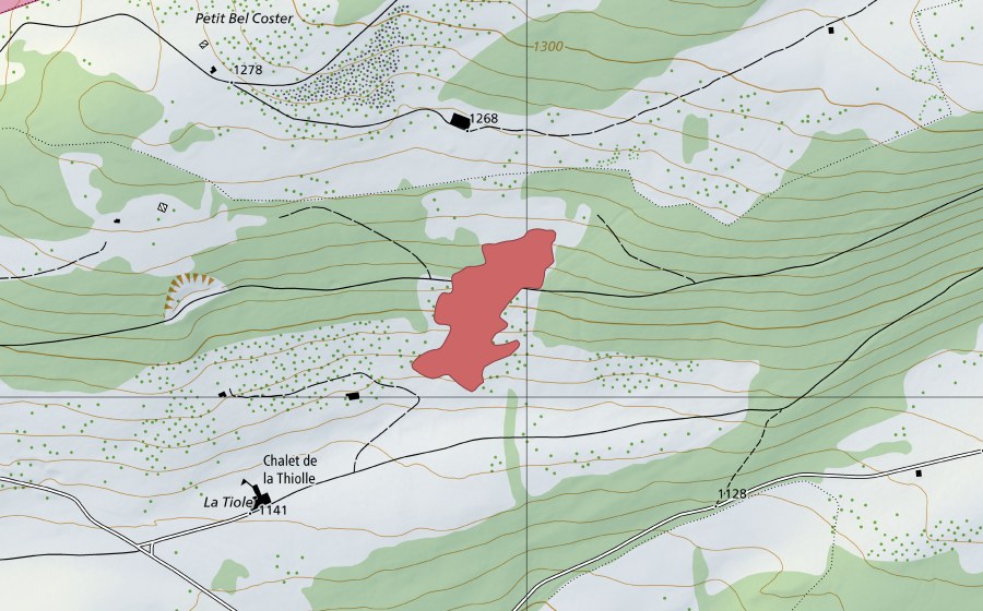 swisstopo national map showing the protected perimeter of La Tiole (Dry meadow)