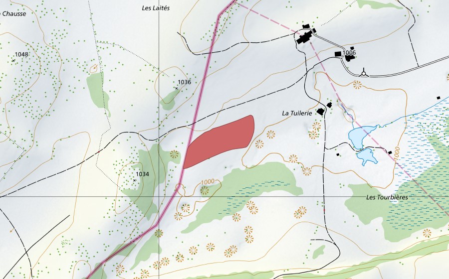 Landeskarte swisstopo mit dem Schutzperimeter von La Tuilerie (Trockenwiese)