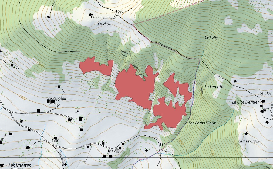 swisstopo national map showing the protected perimeter of La Ville (Dry meadow)