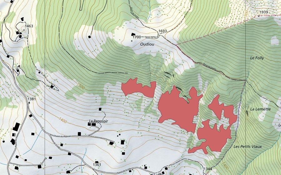 Landeskarte swisstopo mit dem Schutzperimeter von La Ville (Trockenwiese)