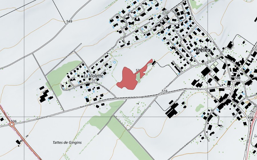Landeskarte swisstopo mit dem Schutzperimeter von La Violette (Trockenwiese)