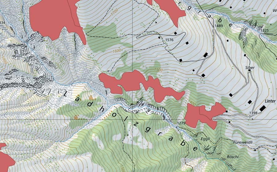 swisstopo national map showing the protected perimeter of Ladholzgrabe (Dry meadow)
